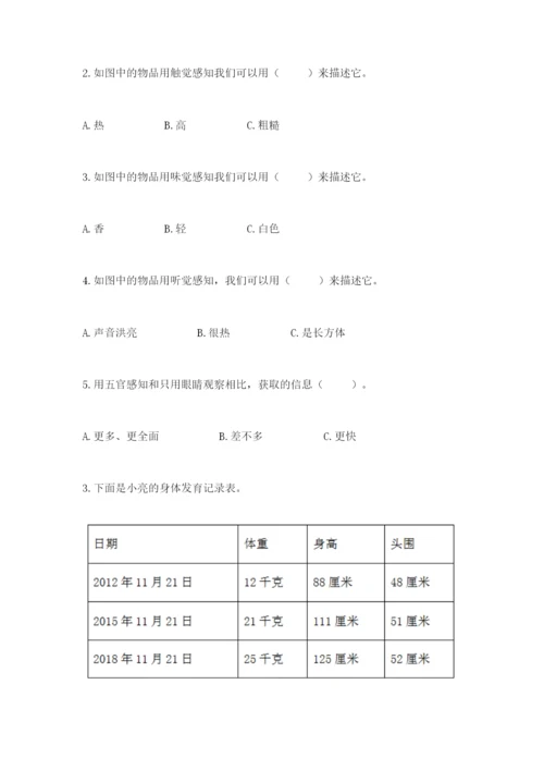 教科版二年级下册科学知识点期末测试卷word.docx