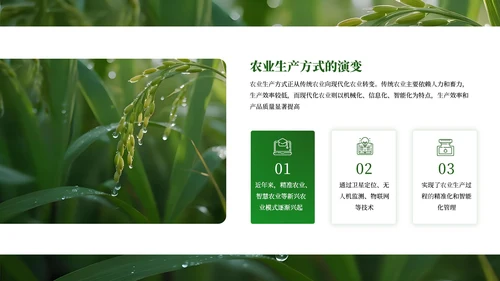 绿色商务农业发展通用PPT模板