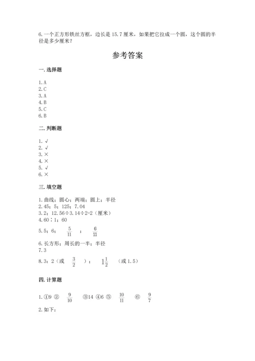 人教版六年级上册数学期末测试卷（精选题）word版.docx