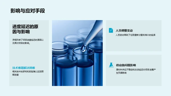 化学研发项目探析