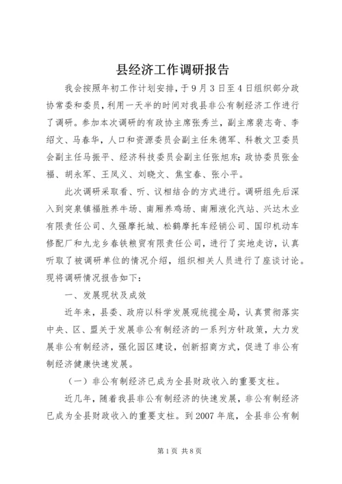 县经济工作调研报告 (2).docx