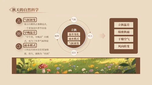 褐色中国风校园立秋图鉴ppt模版