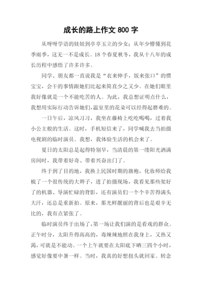 成长的路上作文800字.docx