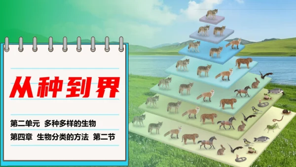 人教版生物七年级上册2.4.2《从种到界》（教学课件）(共16张PPT)
