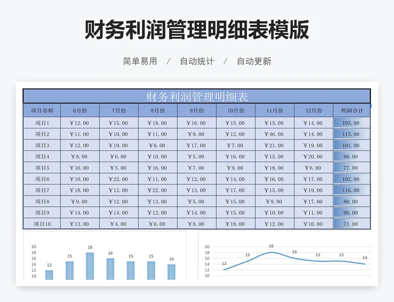 财务利润管理明细表模版