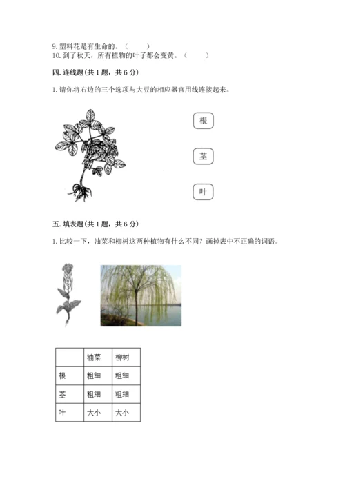 教科版一年级上册科学期末测试卷【名校卷】.docx