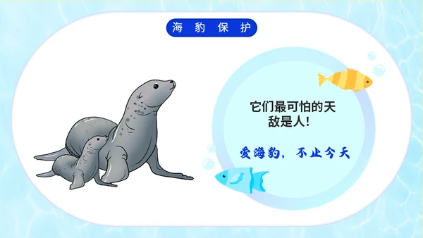 国际海豹日海狮海象通用PPT模板
