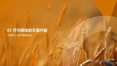 小满季节与传媒影响力