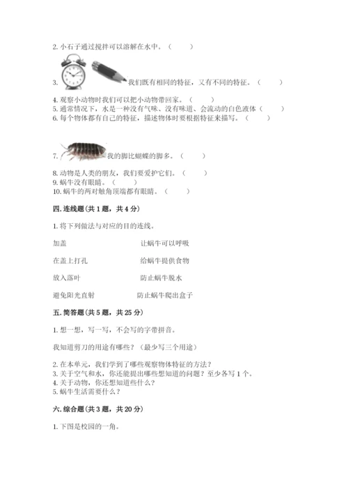 教科版一年级下册科学期末测试卷【考点提分】.docx