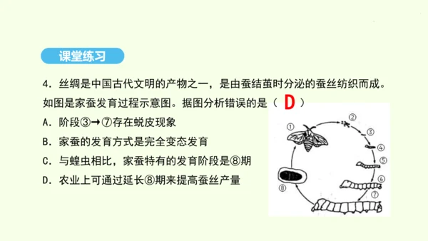 7.1.2昆虫的生殖和发育课件-人教版生物八年级下册(共26张PPT)