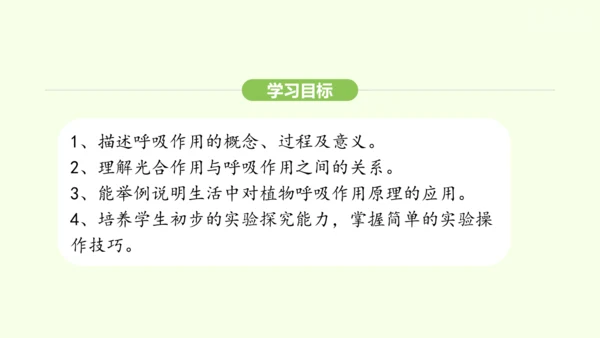 第三单元-第二章-第三节-呼吸作用课件-2024-2025学年七年级生物下学期人教版(2024)(共