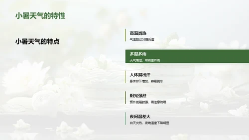 小暑解暑美食秘籍