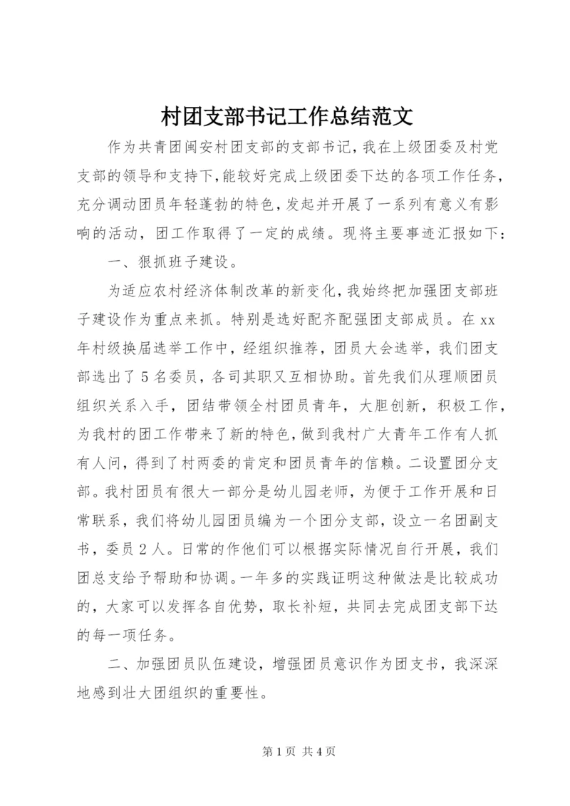 村团支部书记工作总结范文.docx