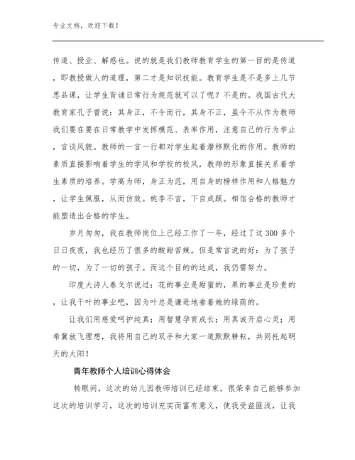 2024青年教师个人培训心得体会例文21篇.docx
