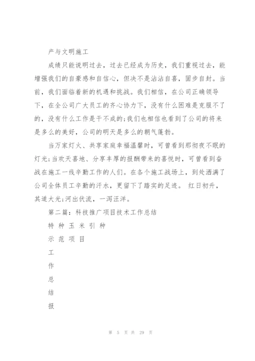 项目技术工作总结(多篇).docx