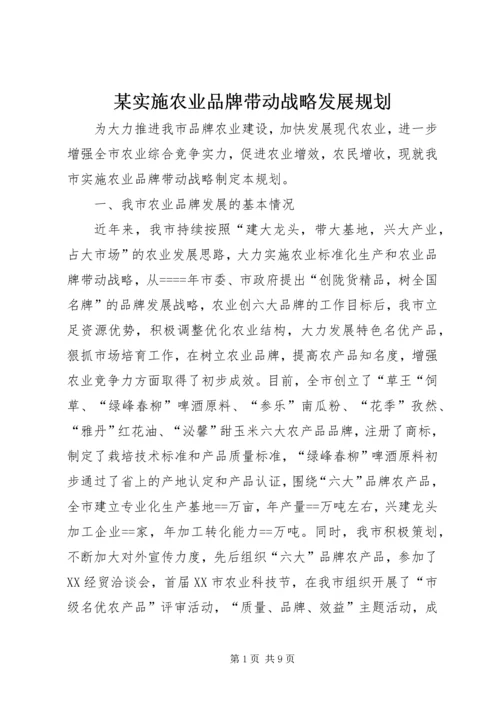 某实施农业品牌带动战略发展规划 (6).docx