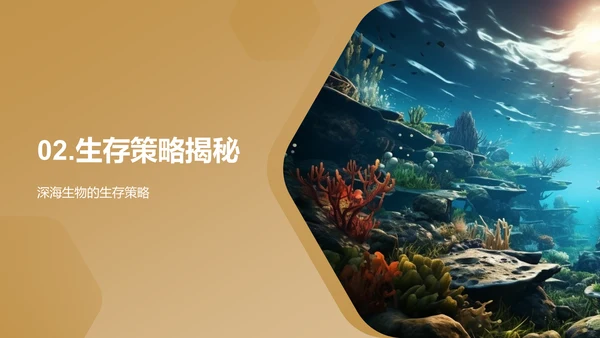 揭秘深海生物