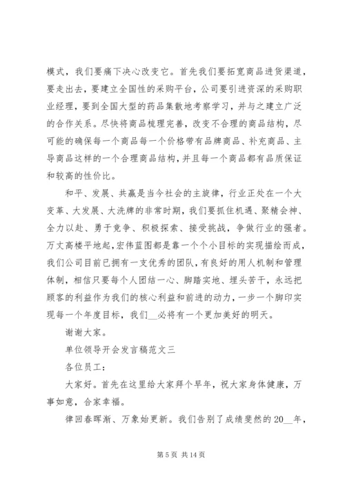 单位领导开会发言稿.docx