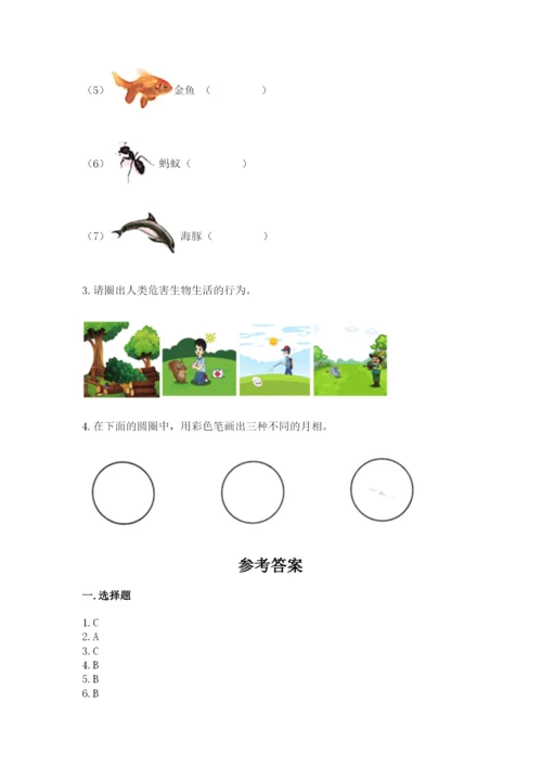 教科版二年级上册科学期末测试卷含答案【新】.docx
