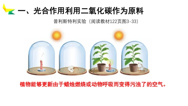 3.5.1 光合作用吸收二氧化碳释放氧气2023-2024学年七年级生物上册精品教学课件（人教版）(