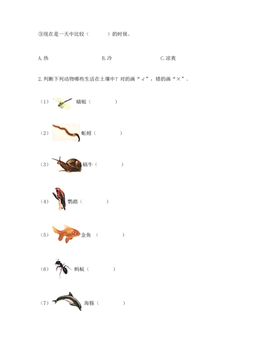 教科版二年级上册科学期末测试卷（基础题）.docx