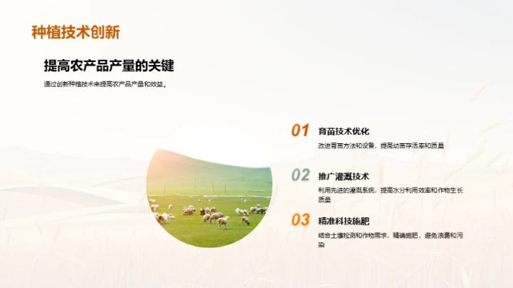 农产品产量分析报告