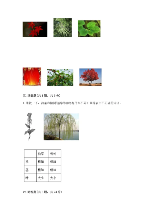 教科版一年级上册科学期末测试卷重点.docx