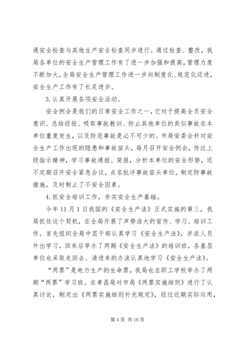 电力局安全保卫工作总结及计划 (2).docx