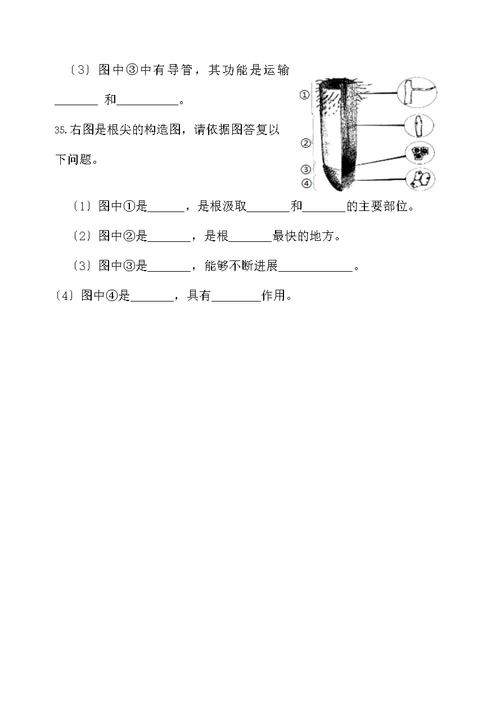 018年扬州市初中生物会考指要例证性试题第三单元