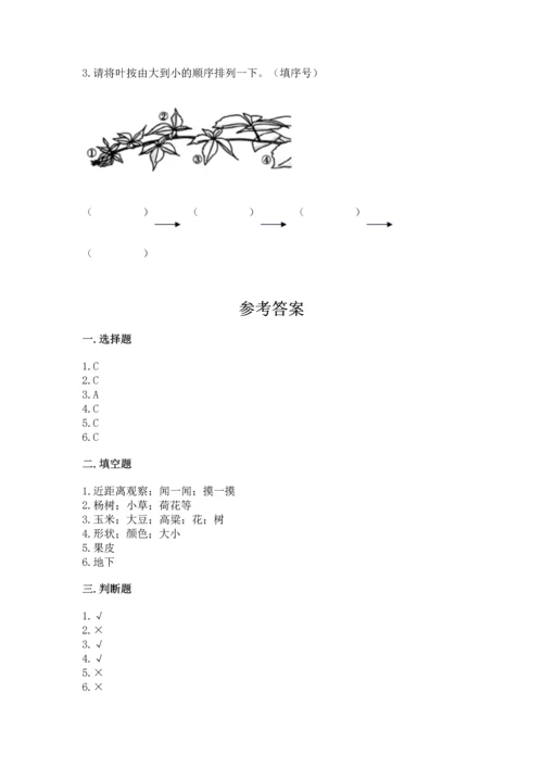 教科版科学一年级上册第一单元《植物》测试卷有答案.docx