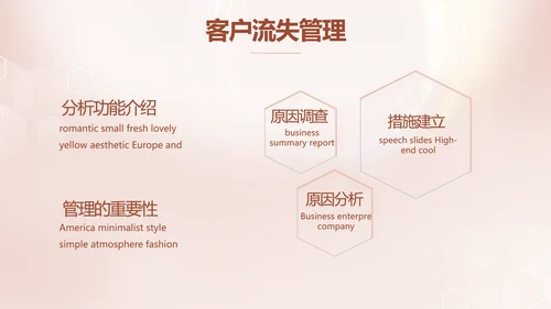 轻奢女神微整形医院介绍工作总结PPT