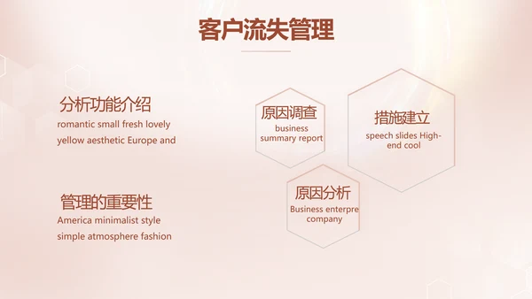 轻奢女神微整形医院介绍工作总结PPT