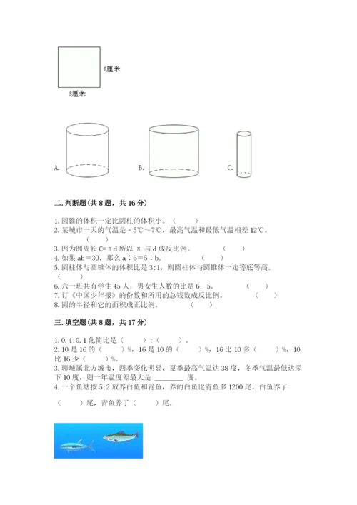 六年级下册数学期末测试卷（巩固）word版.docx