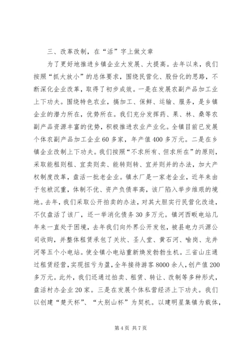 县乡镇企业会上的发言材料.docx