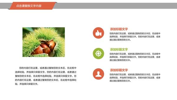 美食坚果板栗宣传动态PPT模板