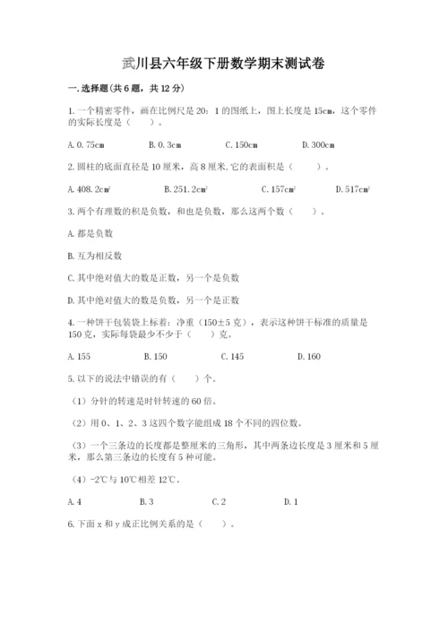 武川县六年级下册数学期末测试卷标准卷.docx