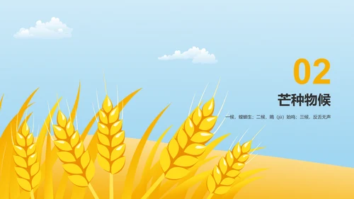 黄色插画二十四节气芒种科普介绍PPT模板