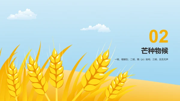 黄色插画二十四节气芒种科普介绍PPT模板