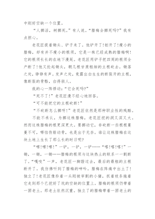 历年人大附中小升初语文真题试卷及答案大全_1.docx