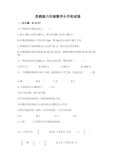 苏教版六年级数学小升初试卷精品【夺冠系列】.docx