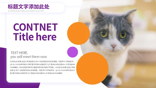 宠物小狗狗泰迪犬通用PPT模板