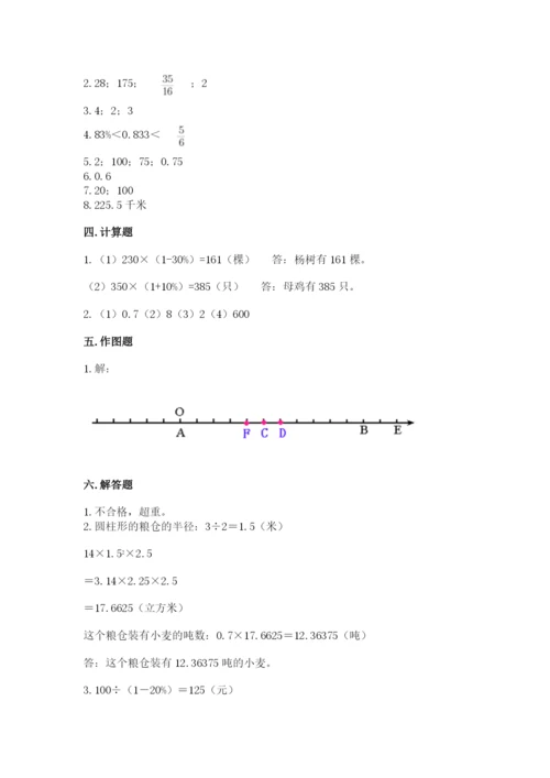 嘉善县六年级下册数学期末测试卷审定版.docx