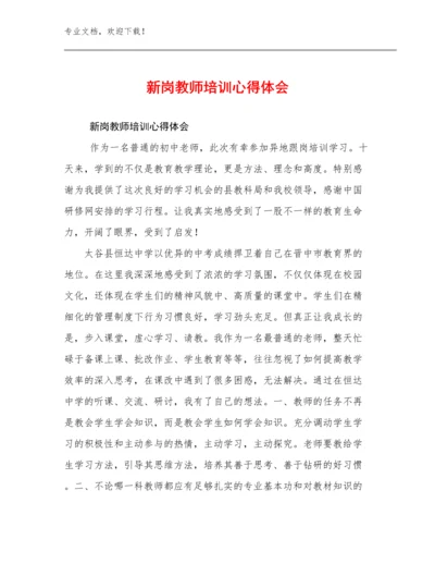 新岗教师培训心得体会范文25篇文档选编.docx