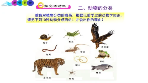 人教版生物七年级上册2.4.1《尝试对生物的分类》（教学课件）(共23张PPT)