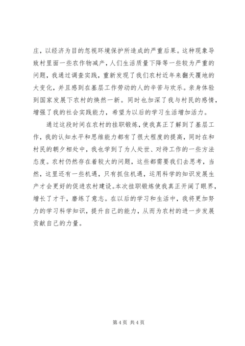 回乡挂职副村长报告 (2).docx