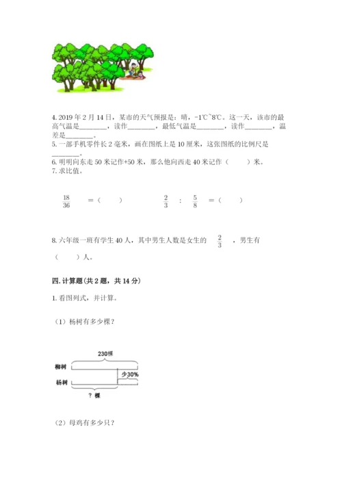 北京版六年级下册数学期末测试卷完整答案.docx