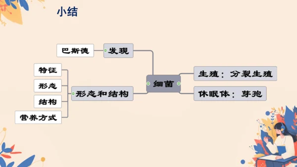 2.3.2细菌课件2024-2025学年人教版生物七年级上册(共18张PPT)