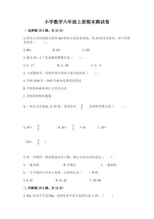 小学数学六年级上册期末测试卷及完整答案【有一套】.docx