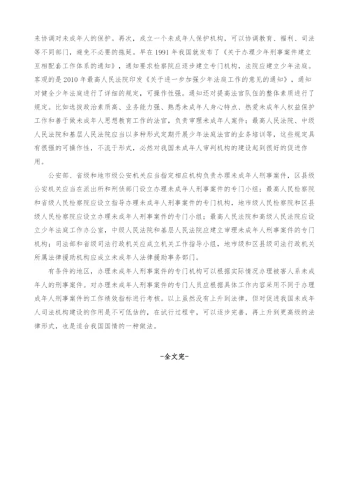 未成年人司法制度的构建与实践.docx