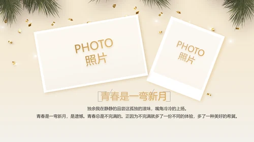 圣诞快乐圣诞节组织活动策划方案PPT